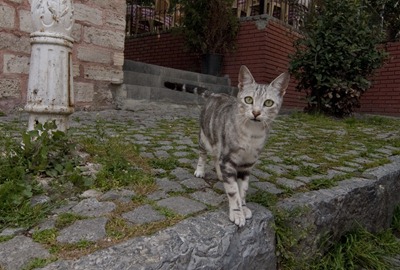 Istanbul_100416_1712 PS 2